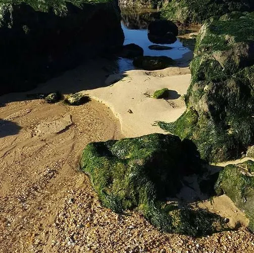 아파트 Carmo 에스피뇨